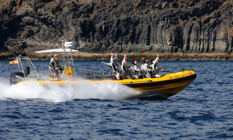 Lanzarote: Dolphin Watching by speedboat - The value of $77 per person