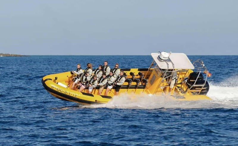 Lanzarote: Dolphin Watching by speedboat - What happens if you do not see dolphins