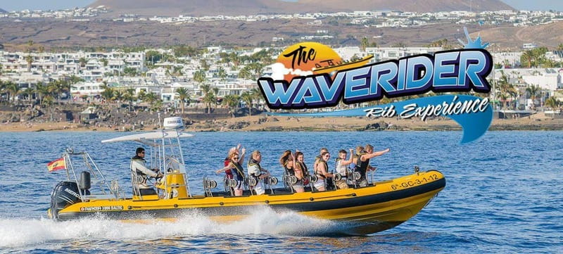 Lanzarote: Dolphin Watching by speedboat - The Waverider is part safari, part thrill ride