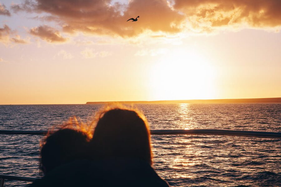 Lanzarote: Dolphin-Watching Sunset Cruise with Transfers - The coast as the light changes