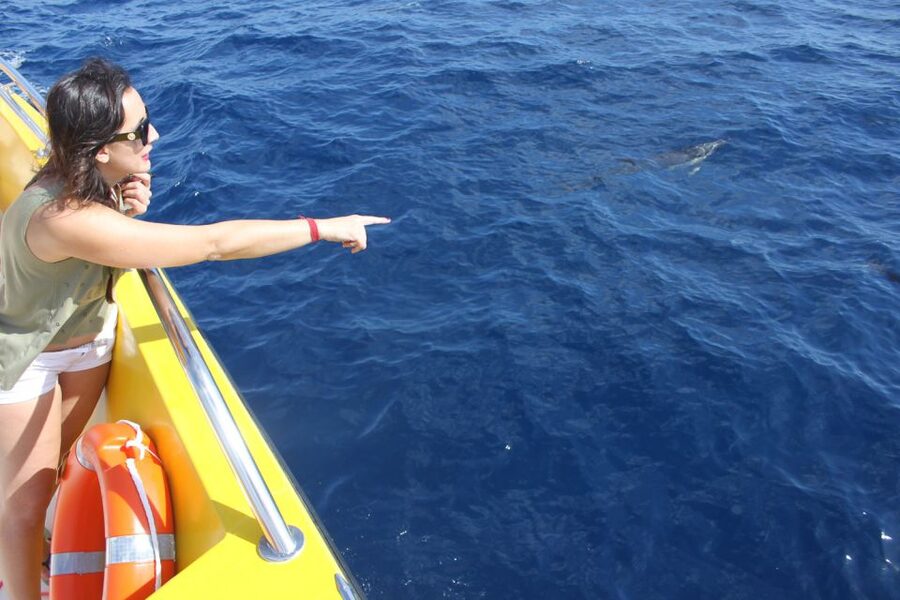 Lanzarote: Lobos Island Half-Day Dolphin Watching Trip - Lobos Island: 2.5 hours of beaches and volcanic paths