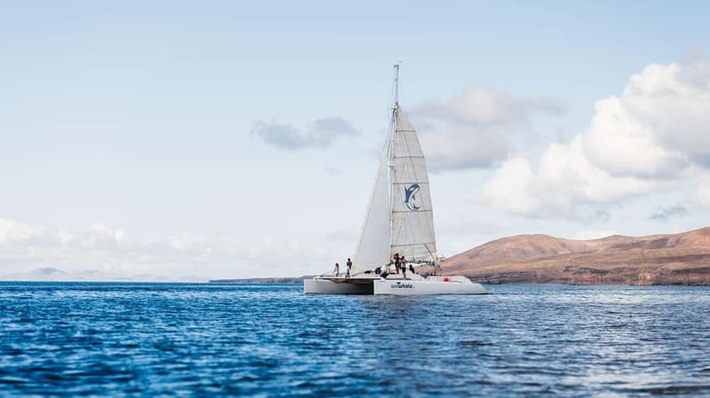 Lanzarote Sunset Experience with dolphin spotting - Setting out from Marina Puerto Calero