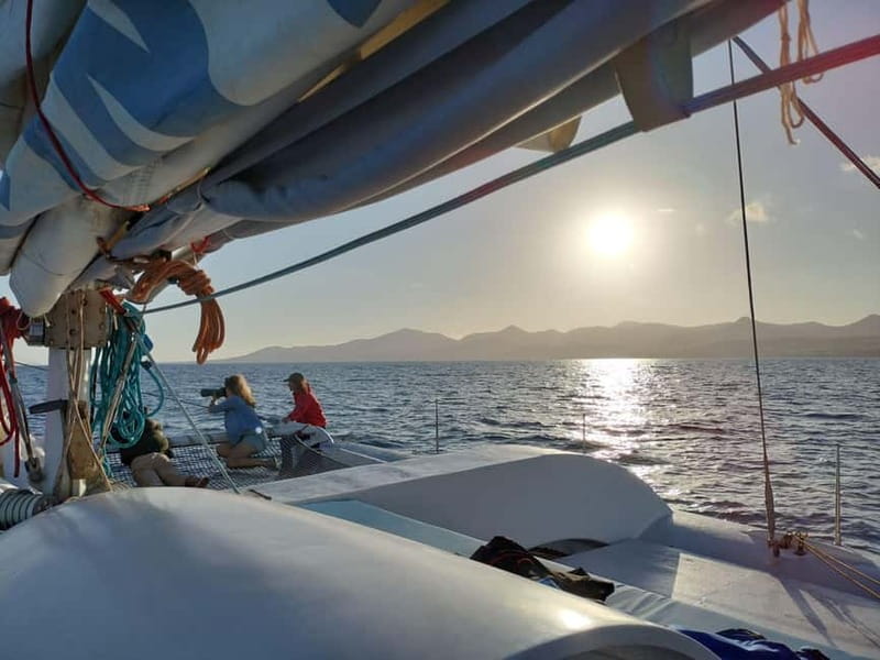 Lanzarote Sunset Experience with dolphin spotting - The hydrophone and the value of listening