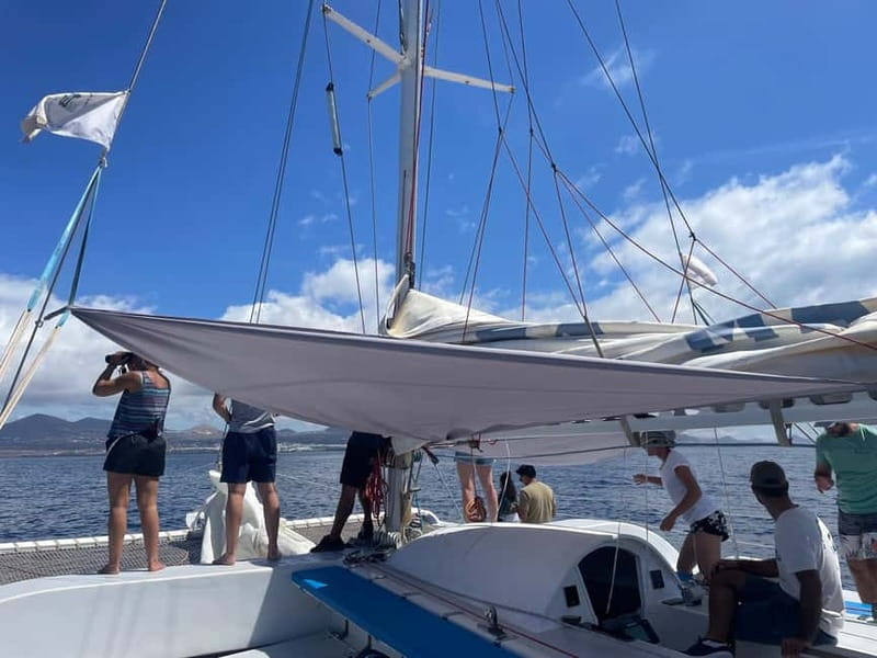 Lanzarote Sunset Experience with dolphin spotting - Crew, language, and group atmosphere