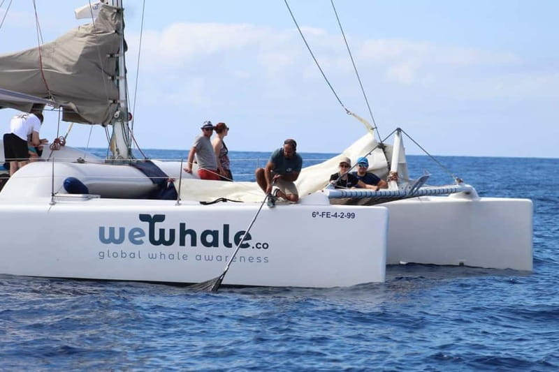 Lanzarote Sunset Experience with dolphin spotting - Why the electric boat changes the mood