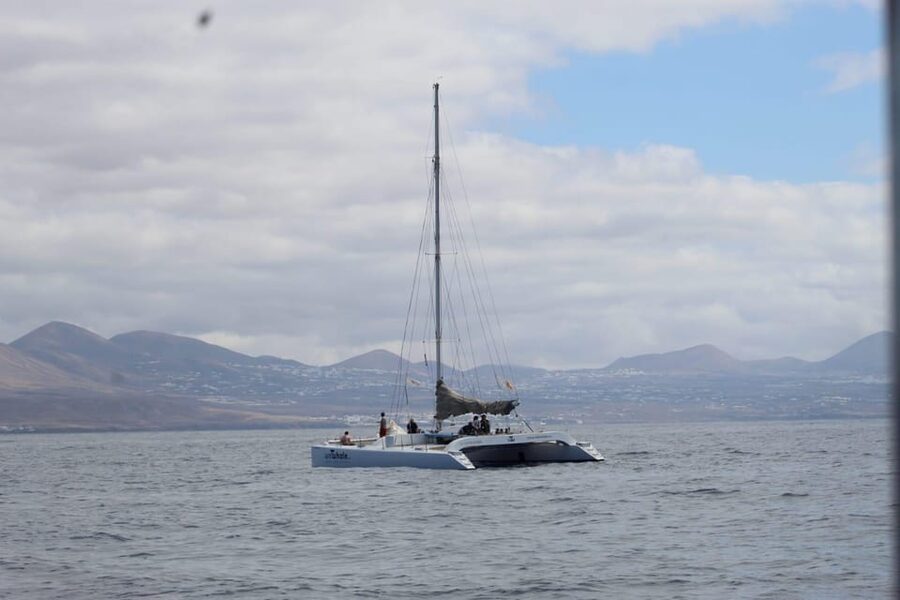 Lanzarote: Whale and Dolphin Watching Eco-Friendly Catamaran - Setting out from Puerto Calero