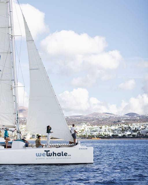 Lanzarote: Whale and Dolphin Watching Eco-Friendly Catamaran - Snacks, drinks, and the four-hour rhythm