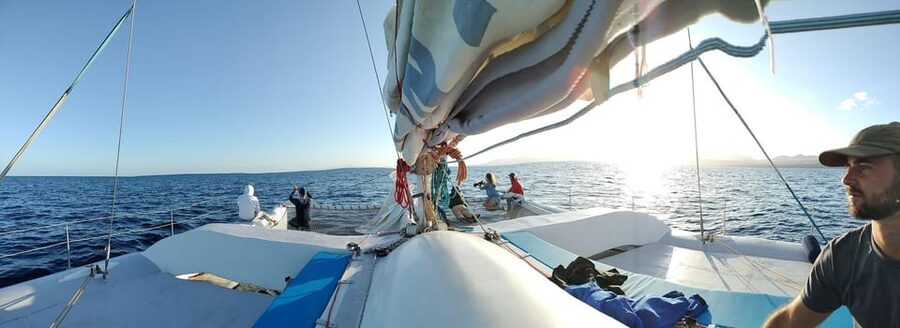 Lanzarote: Whale and Dolphin Watching Eco-Friendly Catamaran - Weather, clothing, and comfort