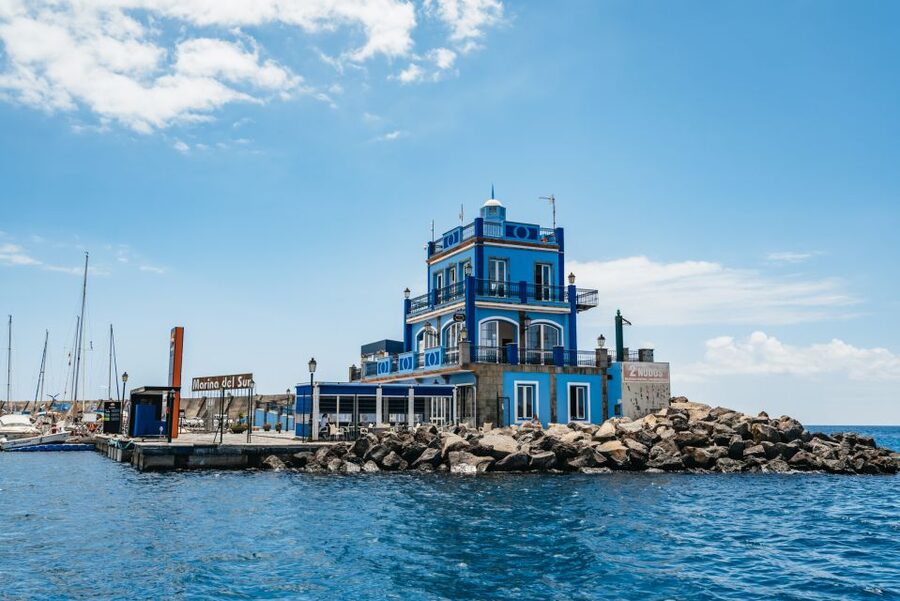 Las Galletas: Whale & Dolphin Tour with Local Skipper - My verdict: book it for the small group and local touch