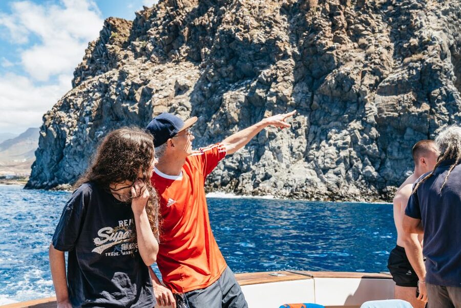 Las Galletas: Whale & Dolphin Tour with Local Skipper - What rough water means for the day