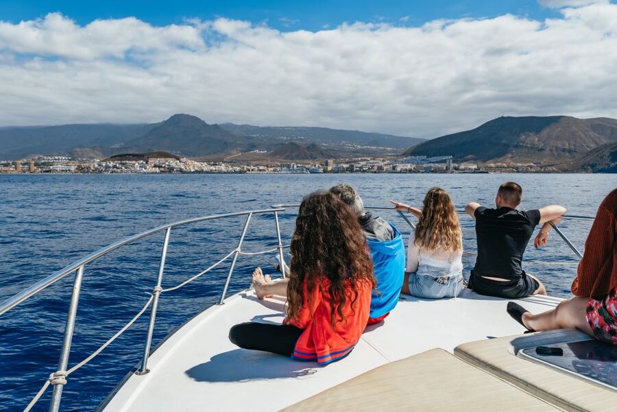 Las Galletas: Whale & Dolphin Tour with Local Skipper - Who will enjoy this cruise most?