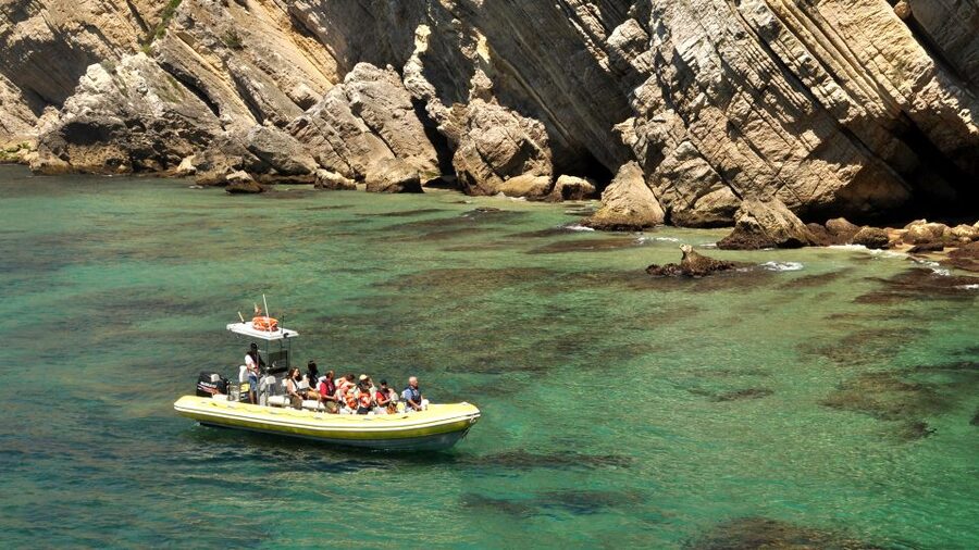 Lisbon: Arrábida Natural Park Dolphin Watching Boat Tour - Searching for dolphins in their own waters