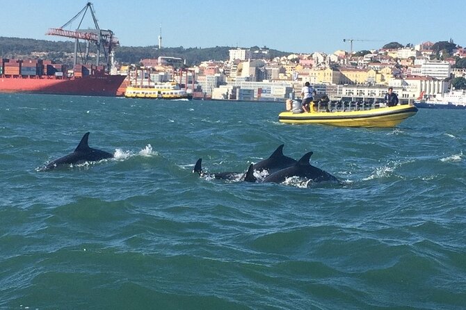 Lisbon Dolphin Watching Ocean Safari - The crew and the human side of the trip