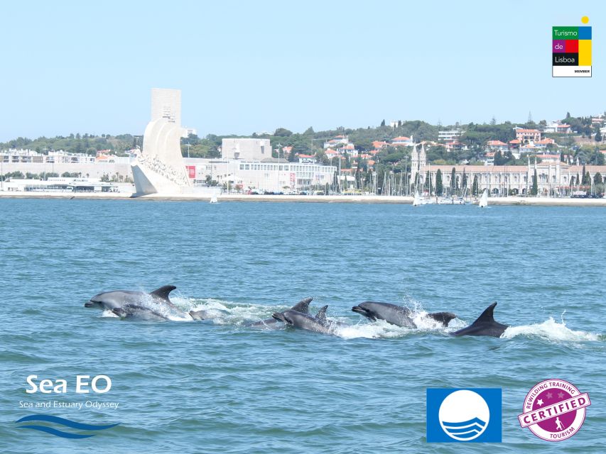 Lisbon: Dolphin Watching with Marine Biologist - Bugio Lighthouse and the open-water search