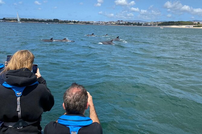 Lisbon: Dolphin Watching with Marine Biologist – Small Group - A wildlife trip that begins in Lisbon