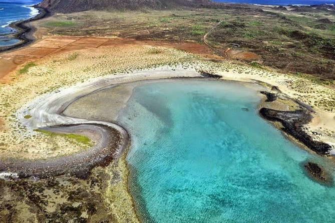 Lobos Island - The dolphin route - Is $86.50 a fair price?
