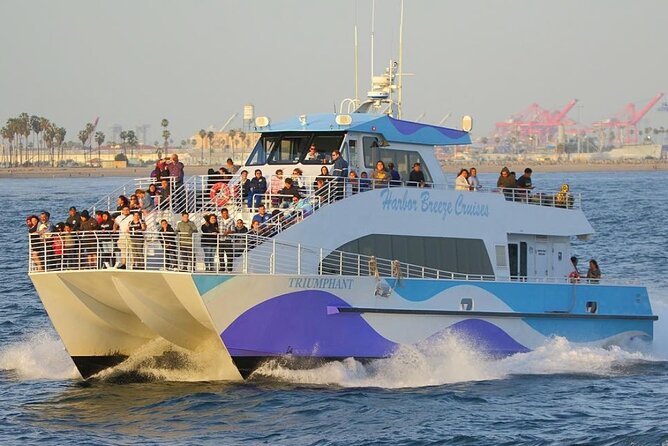 Los Angeles Whale and Dolphin Watching Cruise from West Harbor - Watching for whales and dolphins offshore