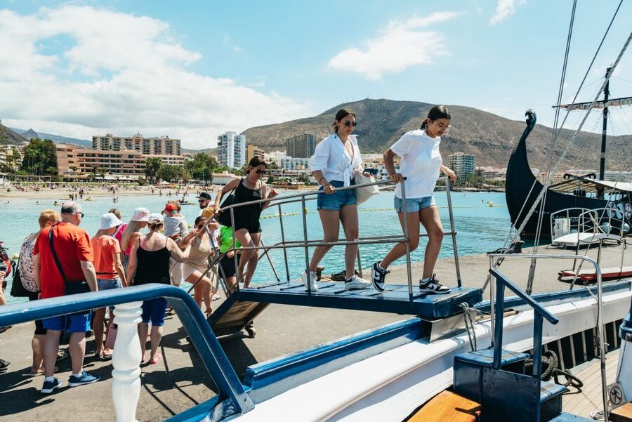 Los Cristianos Respectful No-Chase Whale and Dolphin Safari - Pilot whales, dolphins, turtles, and occasional surprises