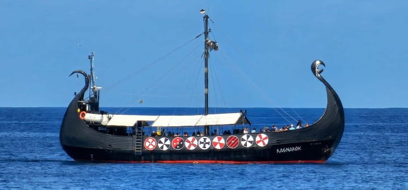 Los Cristianos: Viking Cruise Whales & Dolphins Watching - Room to move, shade, and sea conditions
