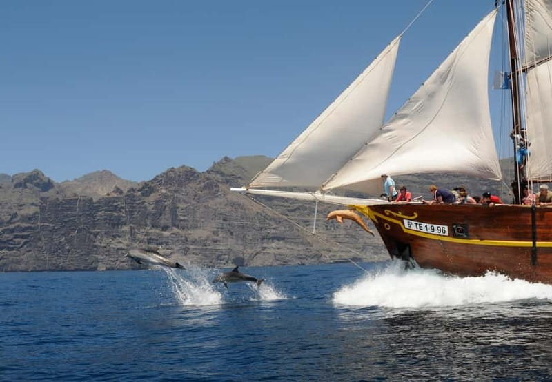 Los Gigantes: Dolphin & Whale Watching Tour on a Pirate Boat - Seeing Los Gigantes and Masca from the water