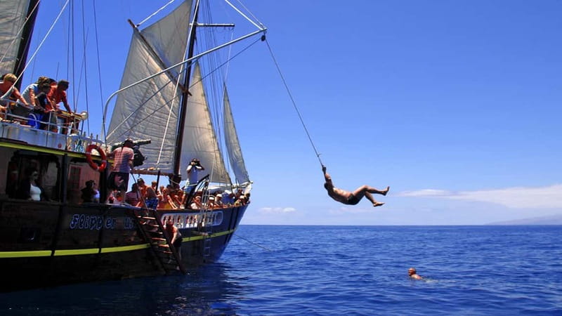 Los Gigantes: Dolphin & Whale Watching Tour on a Pirate Boat - Paella, fruit, and drinks on the three-hour option