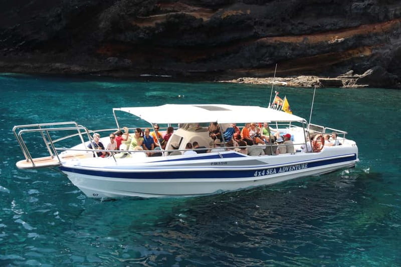 Los Gigantes: Whale or Dolphin Watching Tour and Swim in Masca - Seeing Los Gigantes from below