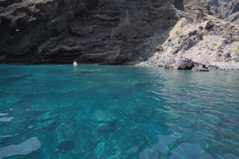 Los Gigantes: Whale or Dolphin Watching Tour and Swim in Masca - Useful tips before you go