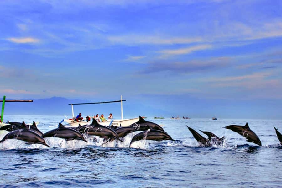 lovina bali: Dolphin watching, waterfall and local lunch - Twin Lake View gives you a quick photo stop