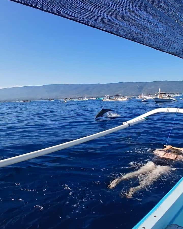 Lovina/BALI : SPECIAL Dolphin Watching,Swimming,Snorkeling - What the Lovina morning is really about