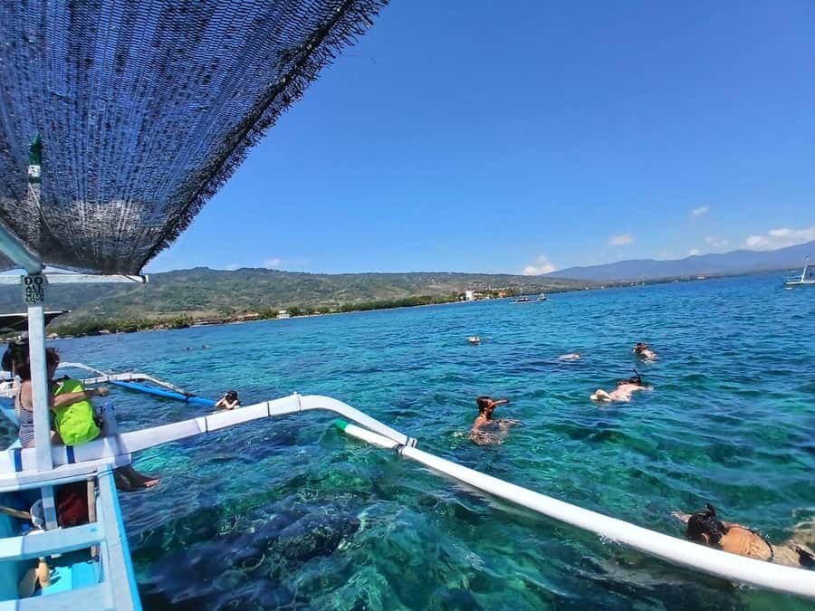 Lovina/BALI : SPECIAL Dolphin Watching,Swimming,Snorkeling - Dolphin watching in open water