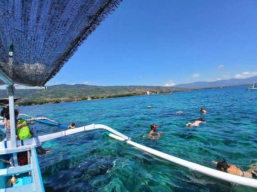 Lovina/BALI : SPECIAL Dolphin Watching,Swimming,Snorkeling - Snorkeling over coral and fish