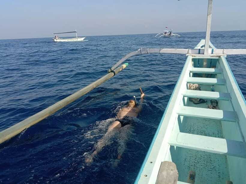 Lovina/BALI : SPECIAL Dolphin Watching,Swimming,Snorkeling - How long should you allow?