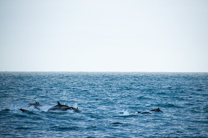 Lovina Dolphin Watching, Snorkeling and Waterfall Tour in Bali - Two hours at Lovina Beach