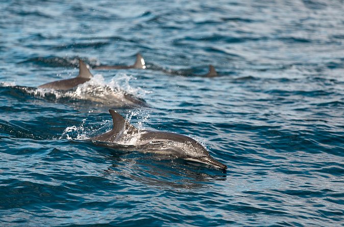 Lovina Dolphin Watching, Snorkeling and Waterfall Tour in Bali - Waterfalls and the optional Git-Git visit