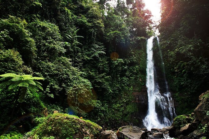 Lovina Dolphin Watching, Snorkeling and Waterfall Tour in Bali - Ulun Danu Bratan and Jatiluwih