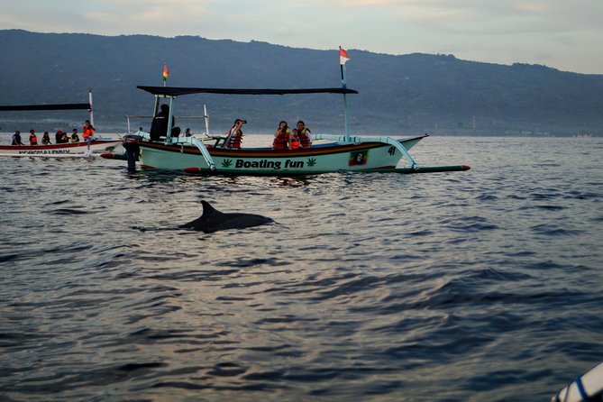 Lovina Dolphin Watching, Snorkeling and Waterfall Tour in Bali - Bali Botanic Garden and the limits of the route