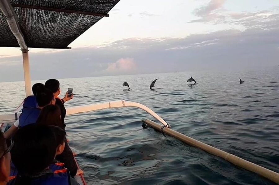 Lovina Dolphin Watching + Swimming with dolphin Private tour - Five things to know before booking