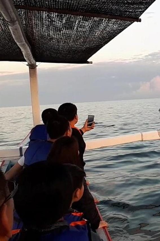 Lovina Dolphin Watching + Swimming with dolphin Private tour - Leaving Lovina Beach before breakfast