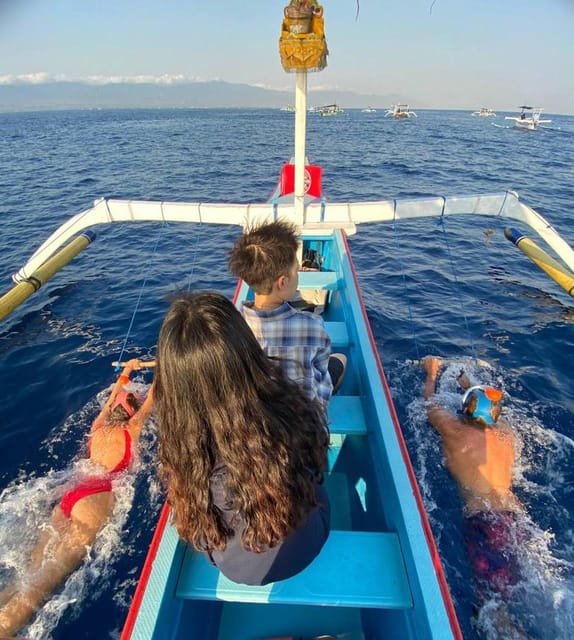 Lovina Dolphin Watching + Swimming with dolphin Private tour - Swimming beside wild dolphins