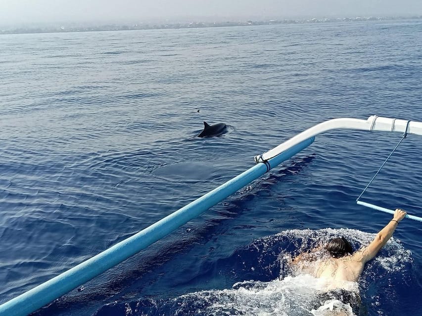 Lovina Dolphin Watching + Swimming with dolphin Private tour - Snorkeling after the dolphin search