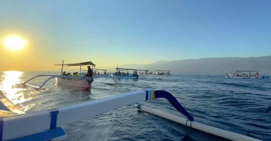 Lovina Dolphin Watching + Swimming with dolphin Private tour - Boat comfort, safety, and the crowded-water issue