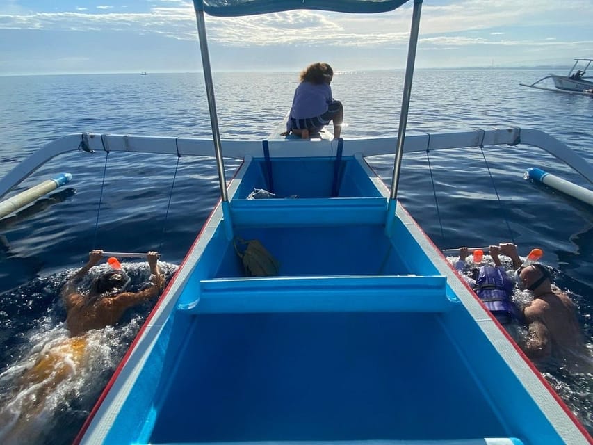 Lovina Dolphin Watching + Swimming with dolphin Private tour - Who will enjoy this morning most