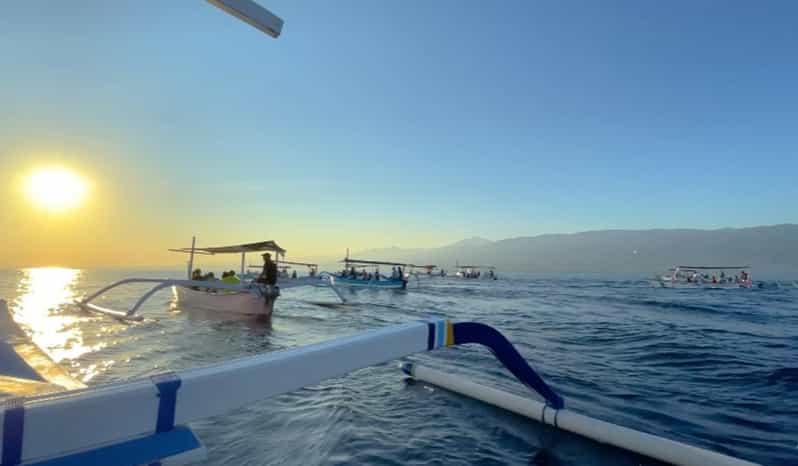 Lovina Dolphin Watching + Swimming with dolphin Private tour - Watching dolphins in the sunrise light