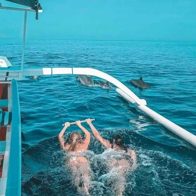 Lovina: Watching Dolphin, Swimming Dolphin Bali Tour - Who will enjoy this dolphin tour most