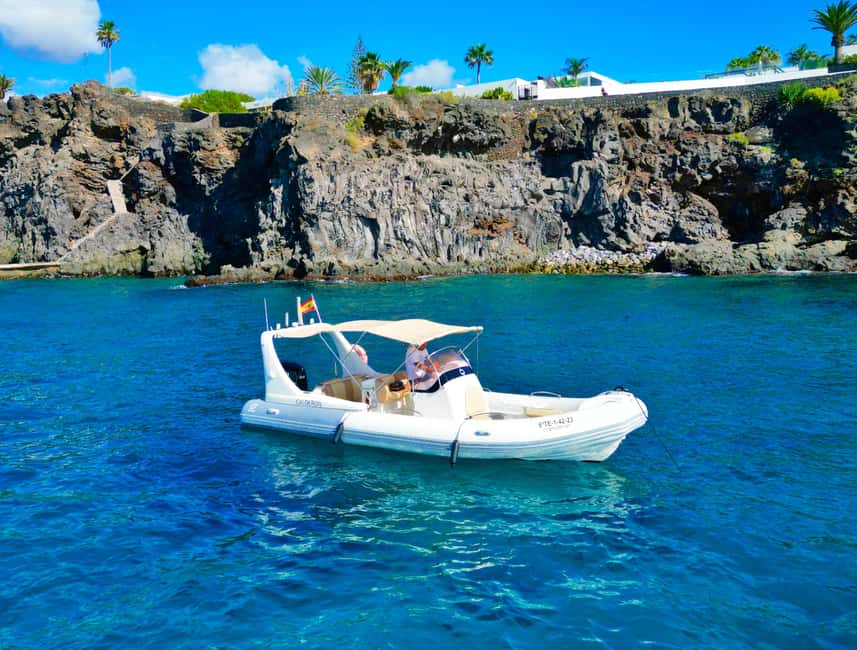 Luxury EcoMarine Safari – Whale & Dolphin Watching Adventure - Why the six-person group matters