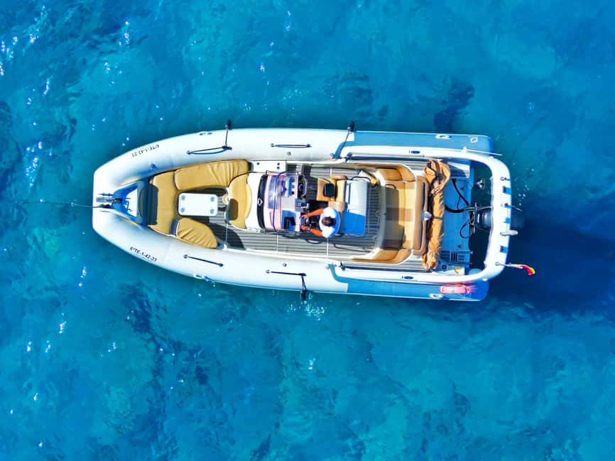 Luxury EcoMarine Safari – Whale & Dolphin Watching Adventure - Comfort, drinks, and what to bring