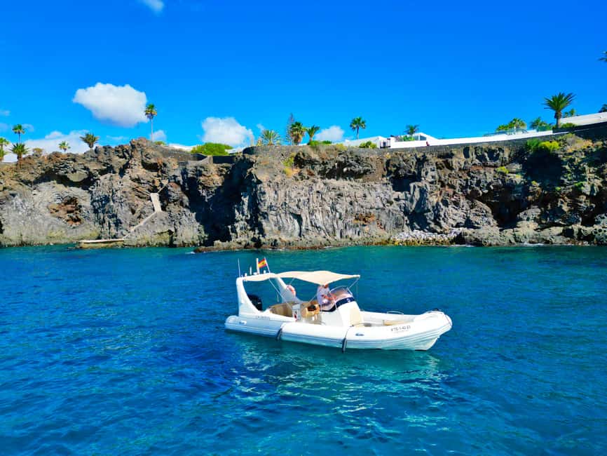 Luxury EcoMarine Safari – Whale & Dolphin Watching Adventure - Who will enjoy this trip most