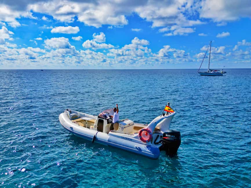 Luxury EcoMarine Safari – Whale & Dolphin Watching Adventure - Should you book this whale and dolphin safari?