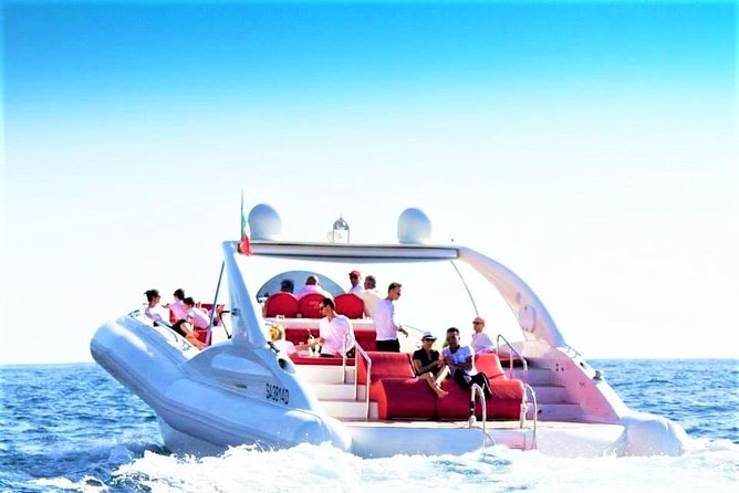 Luxury Opera 60 Whale & Dolphin Watching Experience - Key points before you book