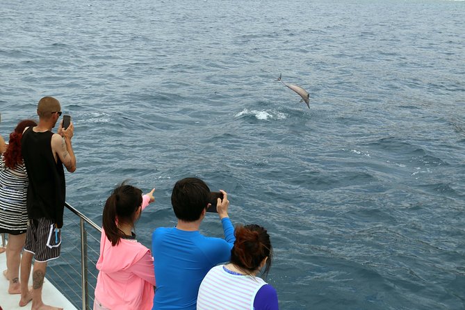 Luxury Snorkel Cruise, Local Buffet with Whale & Dolphin Watch - The crew makes the difference